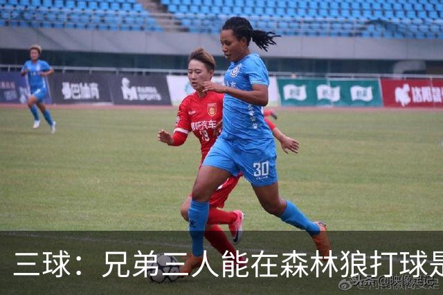 三球：兄弟三人能在森林狼打球是梦想成真 到时让大球打控卫
