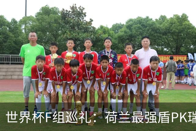 世界杯F组巡礼：荷兰最强盾PK瑞典犀利刀 日本短板明显