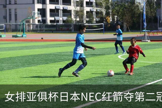 女排亚俱杯日本NEC红箭夺第二冠 佐藤淑乃荣膺MVP