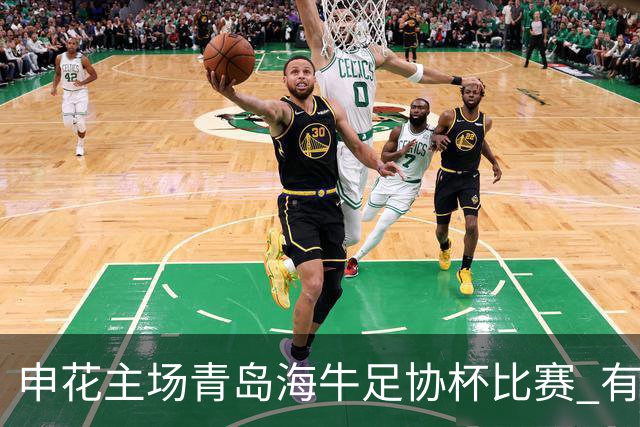 申花主场青岛海牛足协杯比赛 有CCTV5直播